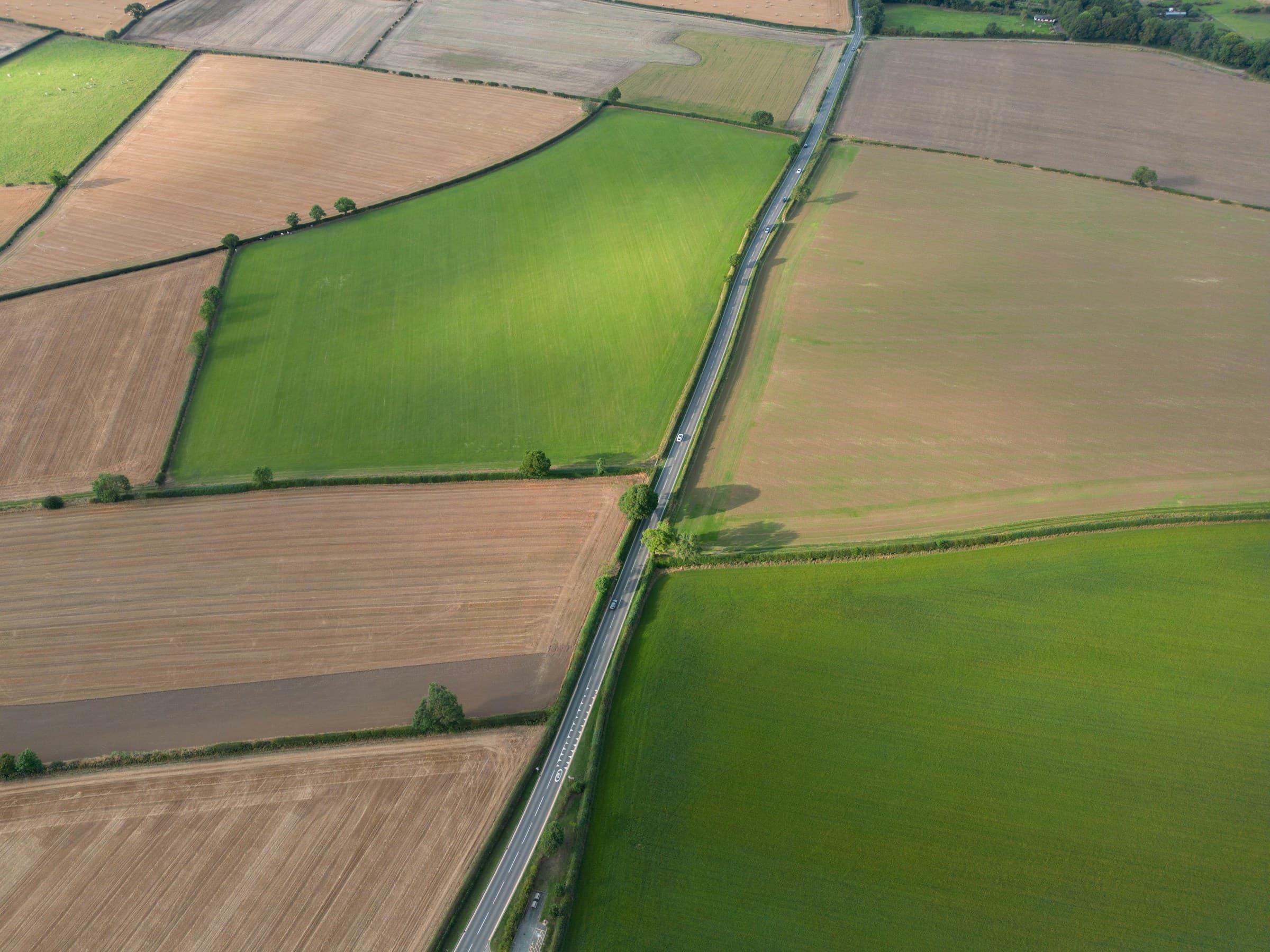Aerial view of fields divided by hedgerows