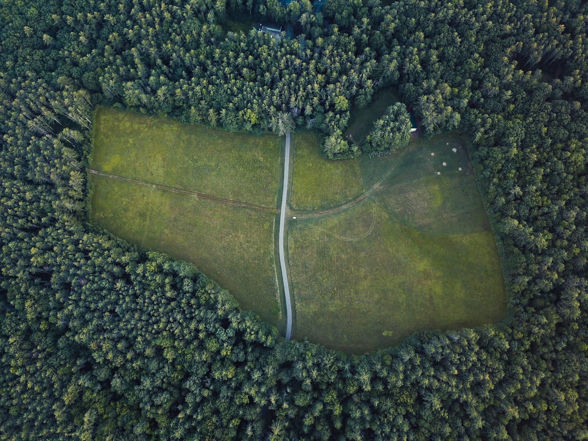 A meadow clearing surrounded by mature woodland